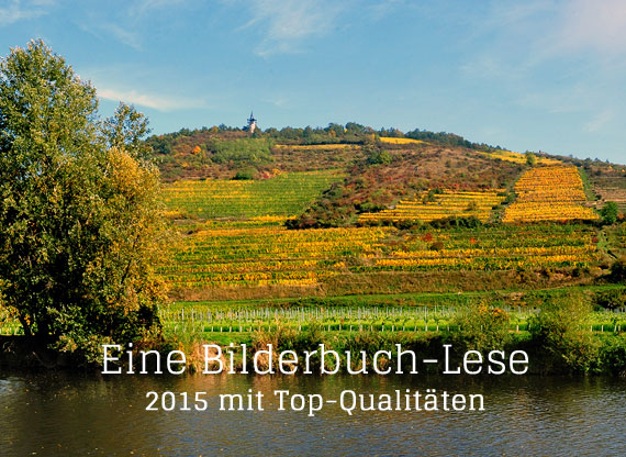 Eine Bilderbuch-Lese. Das Weinjahr 2015