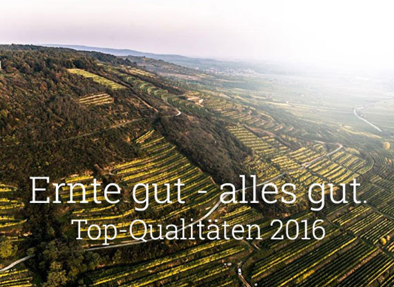 Ernte gut. Alles gut. Das Weinjahr 2016